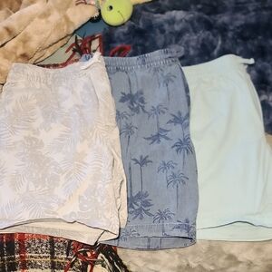 Men's Casual Elastic-Waist Shorts - Light Blue & Chambray Palm Print